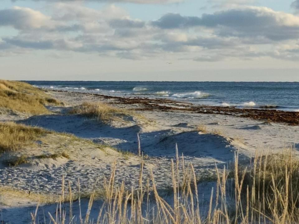 Hyggelig Sommerhus Oer Maritime Ferieby Эбельтофт Экстерьер фото